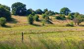Tocht Stappen Villers-le-Bouillet - gotroul . merexhe . doyard . champia . antheit . gotroul - Photo 7