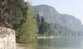 Tour Zu Fuß Torri del Benaco - Punta San Vigilio - Crero - Photo 10