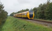 Tocht Te voet Hellendoorn - WNW Twente - Haarle - gele route - Photo 5