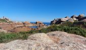 Tocht Stappen Perros-Guirec - LE SENTIER DES DOUANIERS  - Photo 17