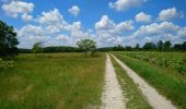 Trail Walking Azay-le-Rideau - Azay-le-Rideau - l'Islette - 17km 220m 4h05 (20mn) - 2021 06 12 - Photo 4