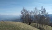 Randonnée Trail Borgo Valbelluna - malga Garda - Photo 8