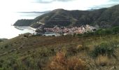 Tocht Stappen Cerbère - Cerbère Llança Litoral2 - Photo 3