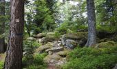 Tour Wandern Altweier - Roche du Tétras - Bilstein - Photo 9