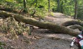 Trail Walking La Roche-en-Ardenne - promenade 4 et 5 pour le groupe du jeudi - Photo 11