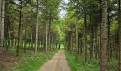 Trail Walking La Roche-en-Ardenne - A la découverte de Maboge 🥾 - Photo 2