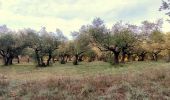 Excursión Senderismo Le Val - Trace_Le_Val - Photo 19
