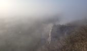 Randonnée Marche Dinant - rando ornitho furfooz 13-02-2023 - Photo 5