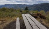 Trail Walking Sewen - Ballon d'Alsace - Lac d'Alfed et sa cascade - Col du Bonhomme - Ballon d'Alsace - Photo 16