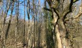 Trail Walking Somme-Leuze - 20,5 km M Sentiers des arts Havelange 20km - Photo 7
