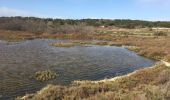 Tour Wandern Gruissan - Gruissan - Tour de l'île Saint Martin par l'Ayrolle - Photo 11