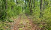 Randonnée Marche Buno-Bonnevaux - Buno-Bonneveaux - Polissoir de Grimery - Photo 6