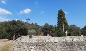 Percorso Marcia Le Perthus - palissades.  la carboniere . fort de bellegrade . panissars - Photo 1