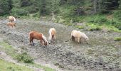 Trail Walking Rodeneck - Rodengo - Rodeneck - Photo 9