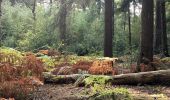 Tour Zu Fuß Aachen - GrenzRouten: Naturerlebnispfad 4,4 km (Blau) - Photo 10