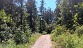 Trail Walking Saint-Apollinaire - lac St apollinaire . Realon / retour - Photo 11