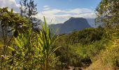 Trail Walking Salazie - Boucle Col de Fourche depuis Le Belier - Photo 9