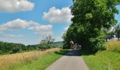 Trail On foot Keltern - Keltern: Ellmendingen - Weiler - Strut - Photo 2