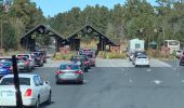 Tocht Auto Onbekend - Usa_Day3_Laughlin_Grand_Canyon_Flagstaff - Photo 2