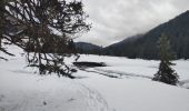 Tocht Sneeuwschoenen Fillière - 21 février 2020 plateau des Glieres - Photo 1