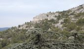 Trail Walking Cabrières-d'Avignon - PF-Cabrières-d'Avignon - Le mur de la Peste - Photo 2