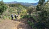 Trail Walking Saint-Raphaël - Estérel / Le Crapas, Les Ferrières, Caous  - Photo 1