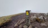 Tocht Stappen Chambon-sur-Lac - Col de la croix Morand - Puy  Sancy  - Photo 13