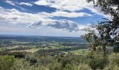 Excursión Marcha nórdica Montarnaud - Montée Boissière  - Photo 3