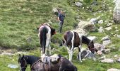 Trail Horseback riding Gavarnie-Gèdre - Gavarnie étape 4 - Photo 17
