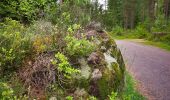 Trail On foot Unknown - Fylleryd, vitgul - Photo 9