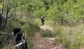 Randonnée Marche Trespoux-Rassiels - filles de manu 1juin24 - Photo 6