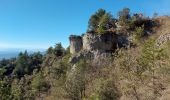Trail Walking Arboras - arboras arsel - Photo 1