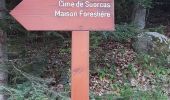 Tour Wandern Lantosque - grange de Suorcas et Mairis - Photo 12