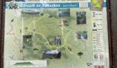 Trail  Saint-Joseph - Boucle de rabuchon  - Photo 13