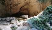 Excursión Senderismo Cheval-Blanc - les gorges du regalon - Photo 3