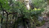 Tour Wandern Urmatt - Cascade Soultzbach - Urmatt - Photo 15