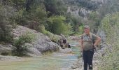 Trail Walking Navacelles - cal - Photo 8