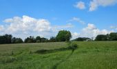 Tocht Stappen Blegny - A travers la campagne blegnytoise 🥾 - Photo 6