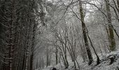 Trail Walking Aywaille - Harze - Photo 1
