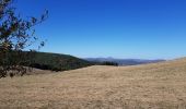 Tocht Stappen Valbeleix - AUVERGNE  MARCENAT (63) - Photo 4