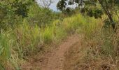 Tocht Stappen Guayaquil - Cerro Azul (Antenas) de ESPOL - Photo 2