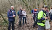 Trail Walking Gézoncourt - gezoncourt - bois du haut pargé - Photo 20