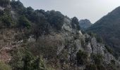 Randonnée Marche Estoublon - Gorges de Trevans par Valbonnette - Photo 13