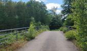 Trail Horseback riding Falck - Falck - Forêt de la Houve - Photo 16