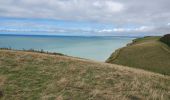 Tocht Stappen Mers-les-Bains - Mers les bains - Bois de Cise 10/08/2021 - Photo 3