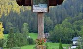 Tour Zu Fuß Lunz am See - Lunz am See - Seekopf - Kasten - Photo 4