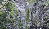 Randonnée Marche Les Houches - J6 - Gorges de la Diosaz - Photo 13