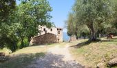 Tour Wandern Sant Ferriol - besaliu 190724 - Photo 7