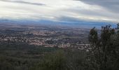 Trail Walking Laroque-des-Albères - La Roque des Albères, les cabanes de Mataporcs - Photo 1