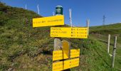 Percorso Marcia Theys - VAUGELAS DEPUIS PIPAY  - Photo 19